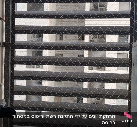 רשת מתכת על חלון למניעת כניסת יונים